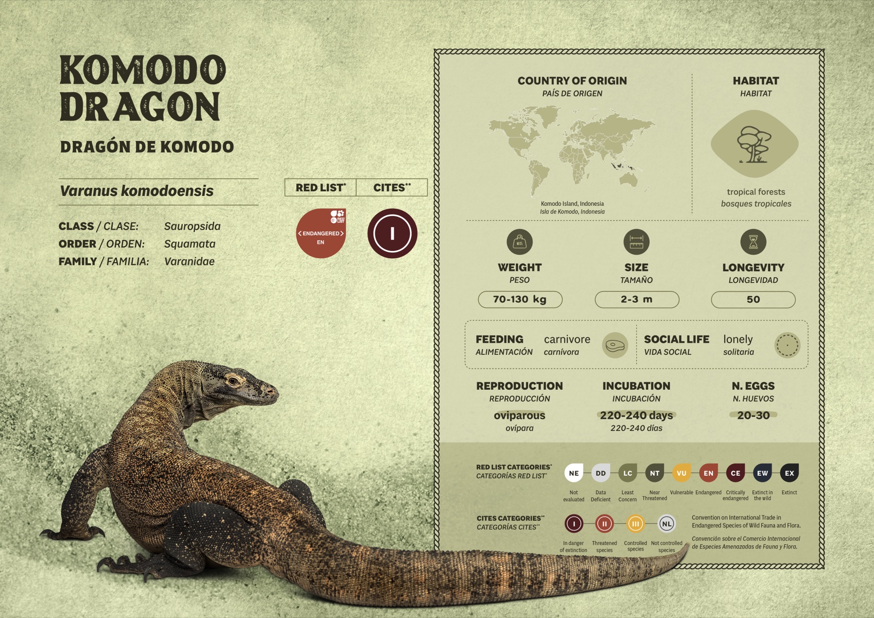 Ficha Dragón de Komodo